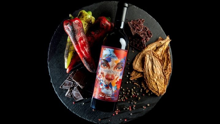 Carmenere 2019 - Kamnik
