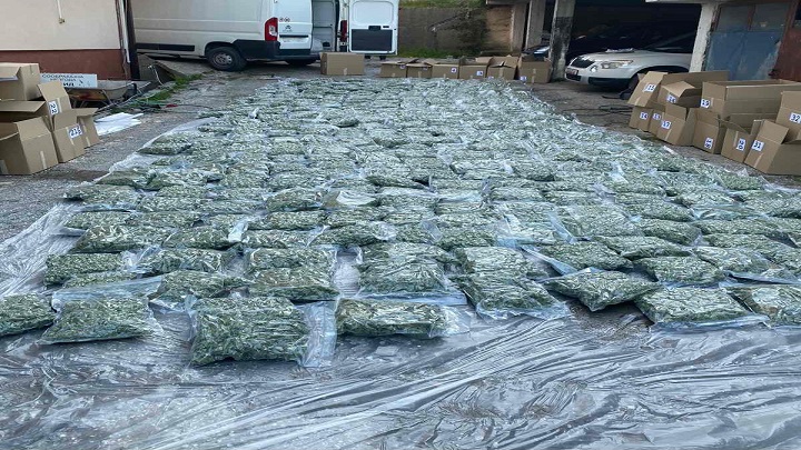 droga mvr zaplena