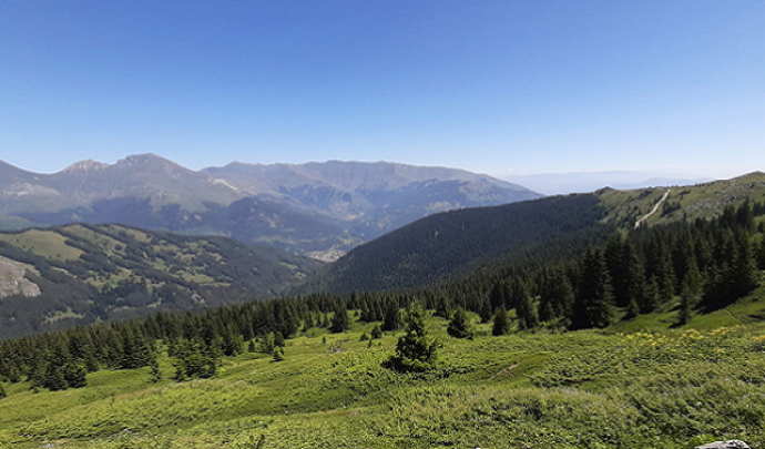sar planina