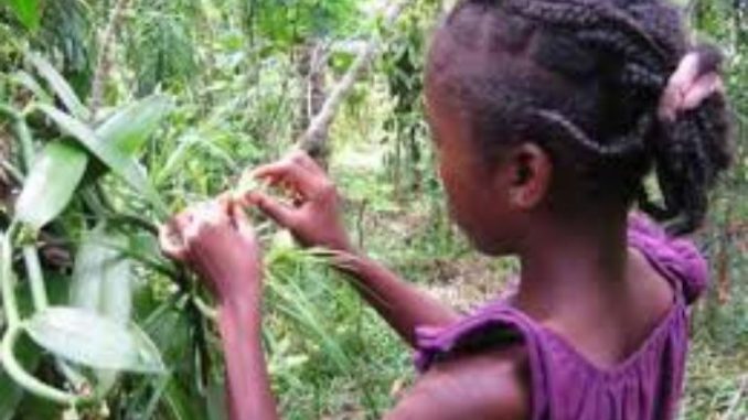 devojce_glad_madagaskar_4564-678x381