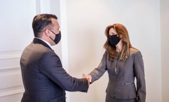 zaev brnz
