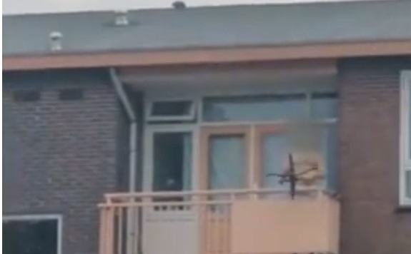хол