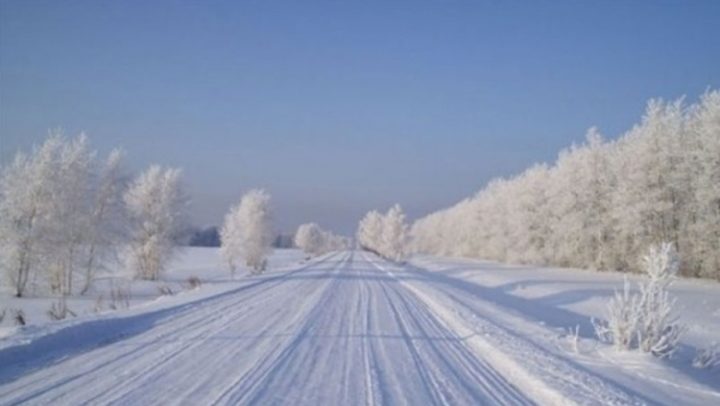 sibir