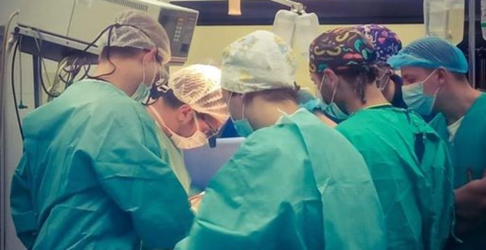 transplantacija