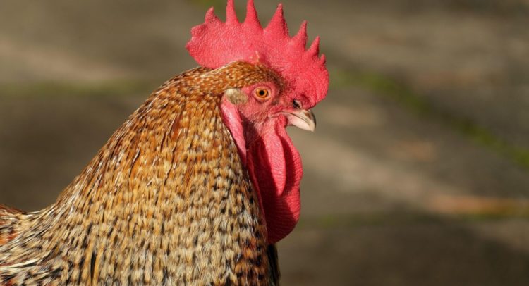 Image: 649532657, License: Rights-managed, Restrictions: , Model Release: no, Credit line: Paul Broadbent / Alamy / Alamy / Profimedia