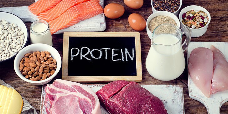 protein