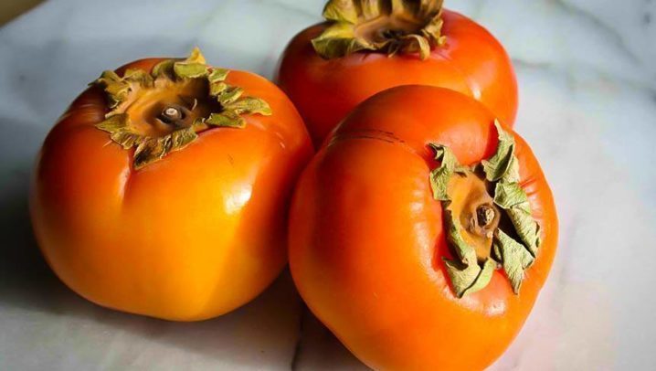persimmon-tree-2-750x406