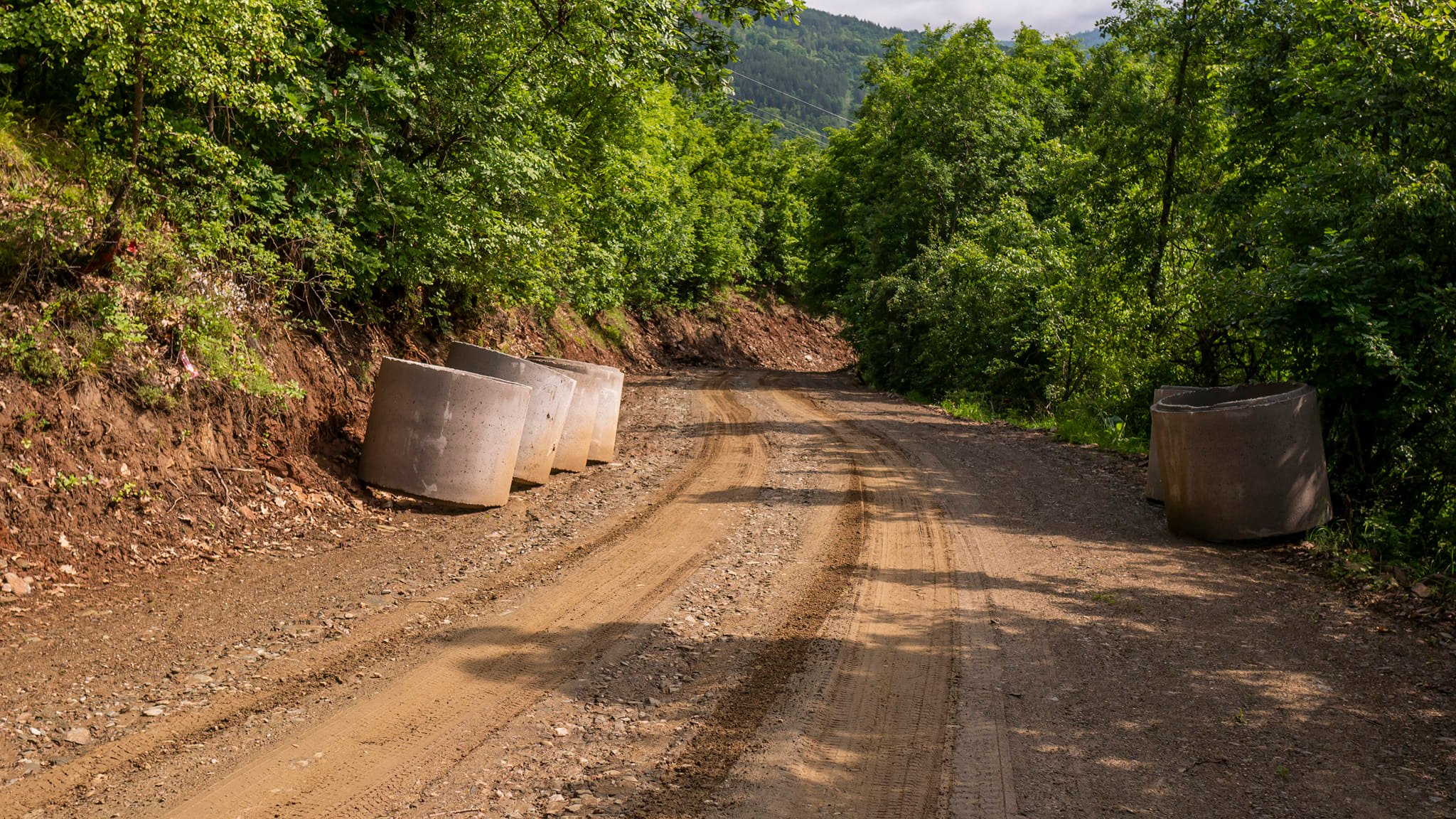 347253464_1289159385316137_8923104311533209279_n