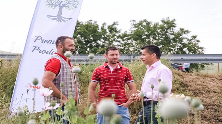 николовски