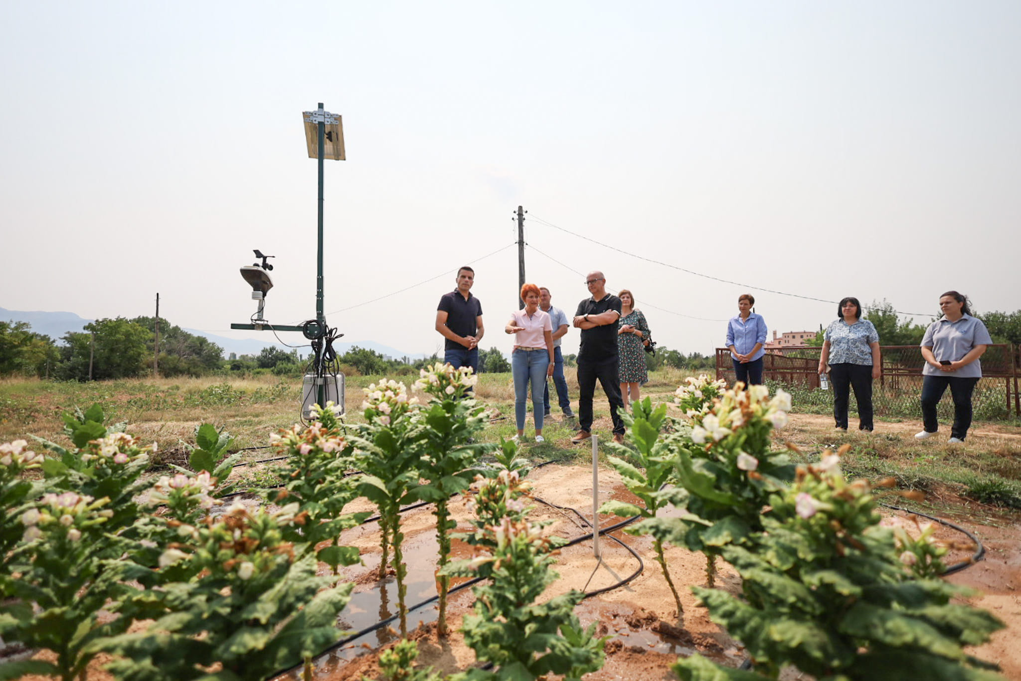 369579930_834132581413913_566762080419537170_n