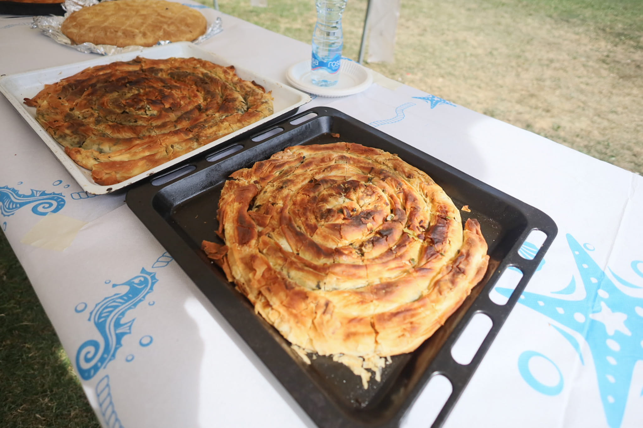 369727115_837152824445222_5752571200925557232_n