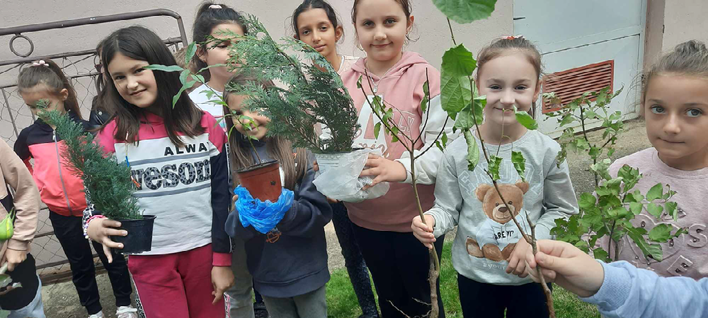 a67b7736-3e98-44d7-855c-c8a70c0220d7-before_plant