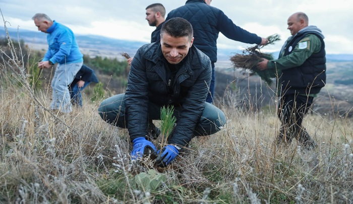 николовски