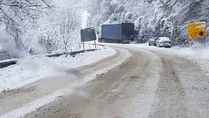 возила