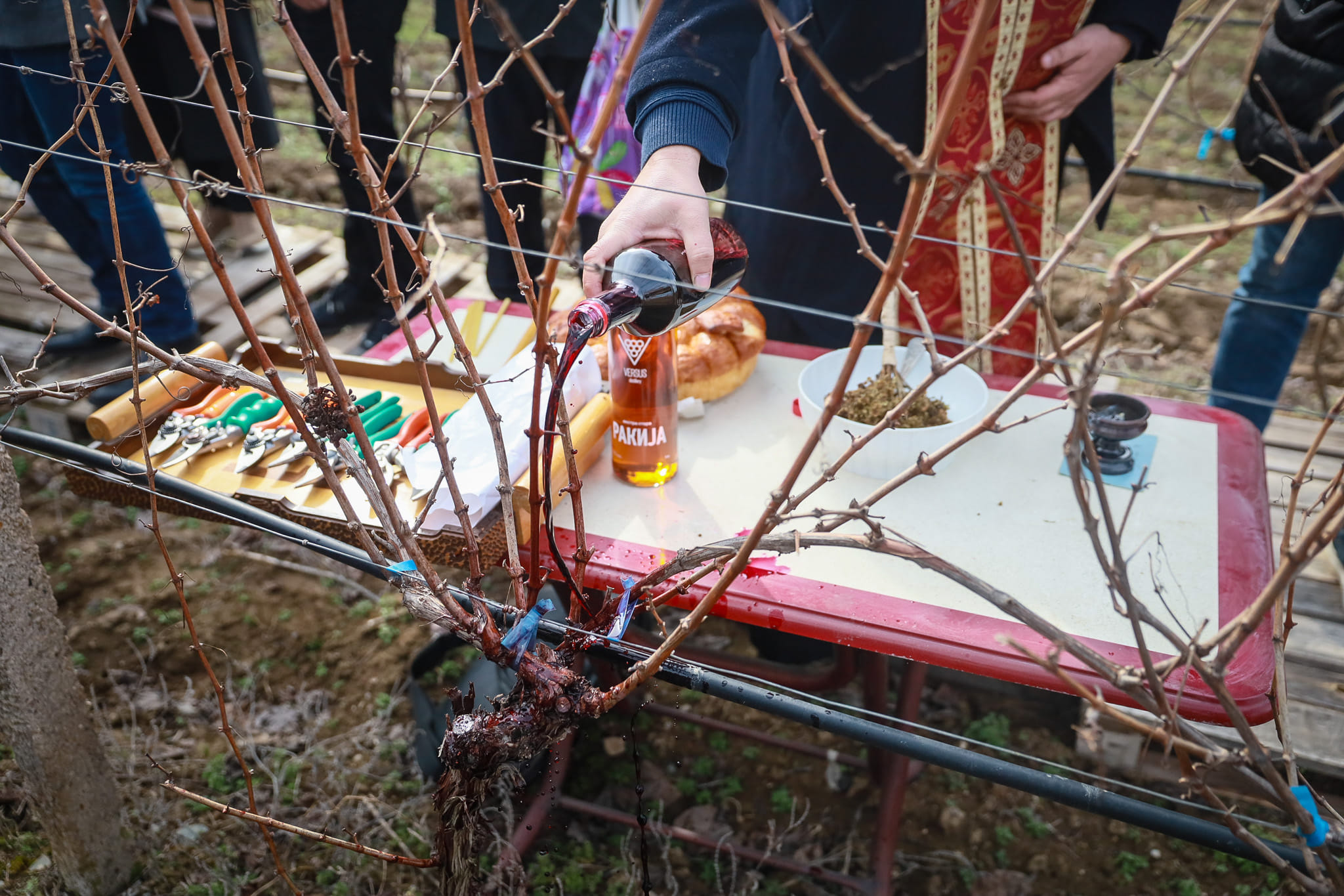 417470718_929863171840853_3631995867866914159_n