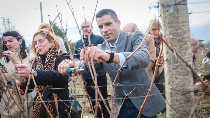 николовски