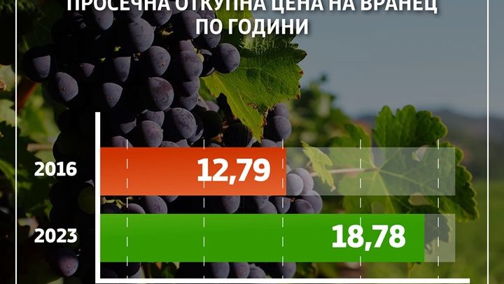 420526897_954215859405584_3531727896359475272_n (1)