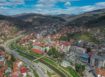 krivapalanak