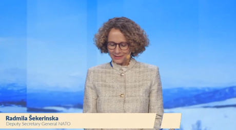 sekerinska