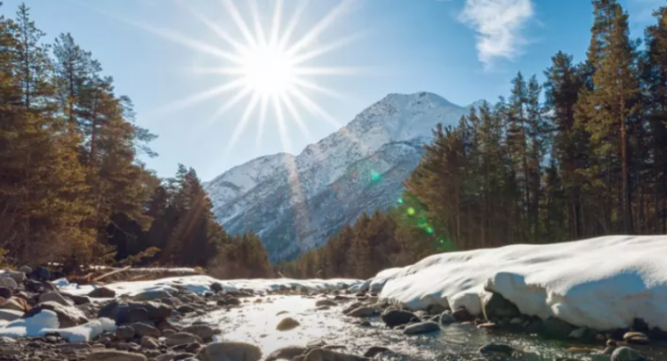 Screenshot 2025-12-08 084516