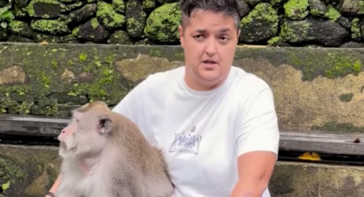 befunky_2025-11-1_16-17-28