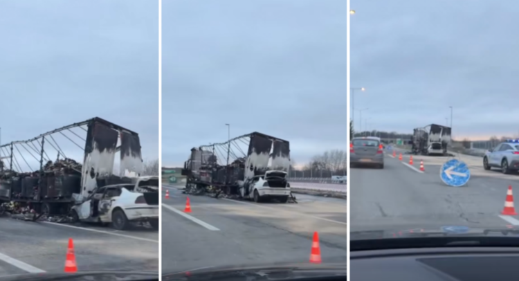 Screenshot 2026-02-11 101923