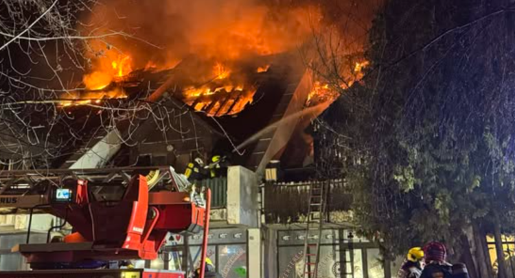 Screenshot 2026-02-13 104406