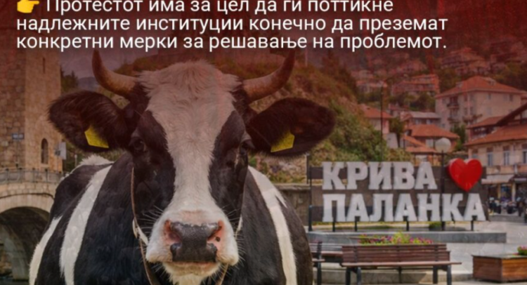 Screenshot 2026-02-16 140148