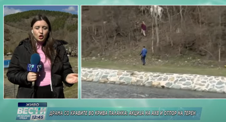 Screenshot 2026-02-25 142021