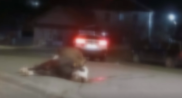 Screenshot 2026-02-26 093702