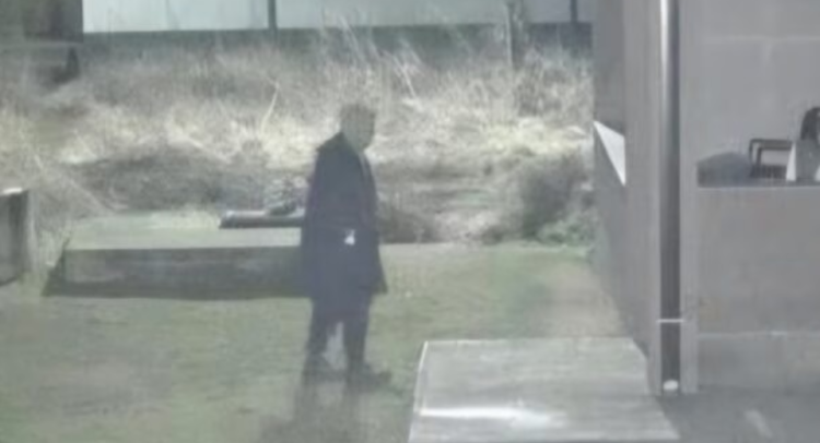 image_2026-02-25_195129229