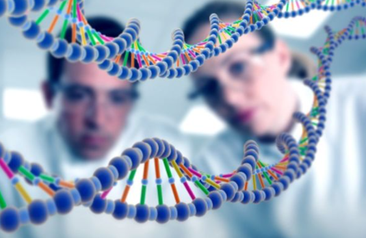 Screenshot 2026-03-14 091841