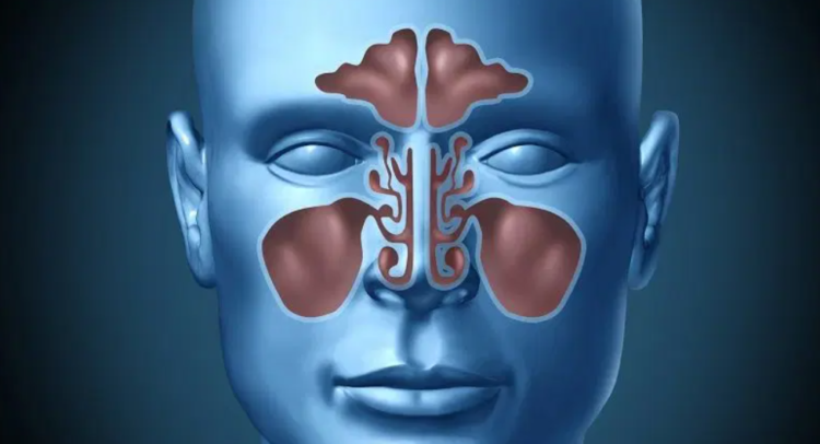 Screenshot 2026-03-17 091317