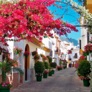 Screenshot 2026-03-24 100809