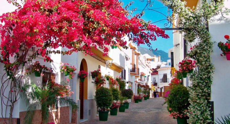 Screenshot 2026-03-24 100809