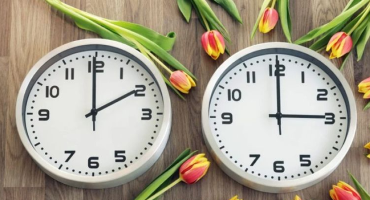 Screenshot 2026-03-25 133627