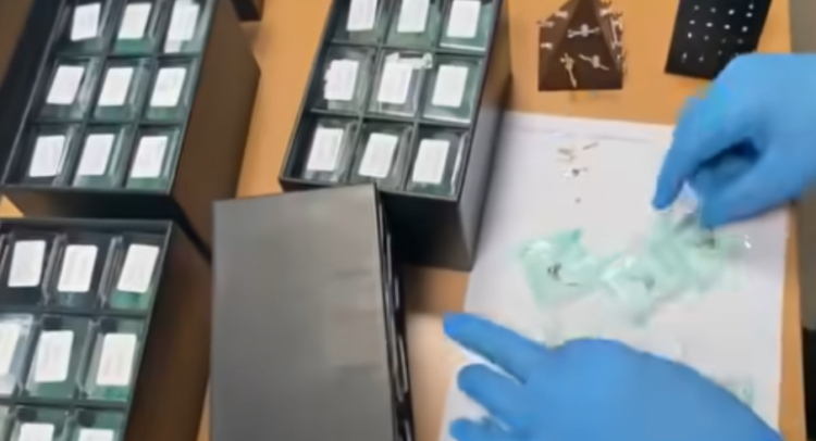 Screenshot 2026-04-07 114844