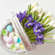 Screenshot 2026-04-08 092010