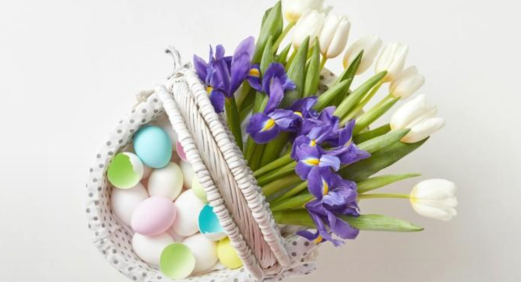 Screenshot 2026-04-08 092010