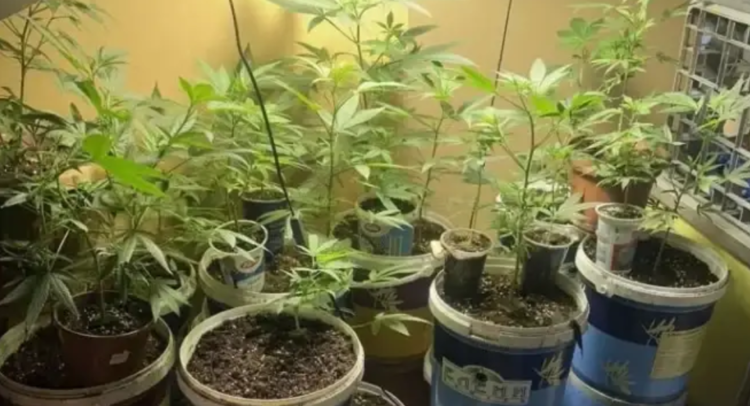 Screenshot 2026-04-21 104540