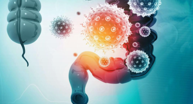 Screenshot 2026-04-24 104934